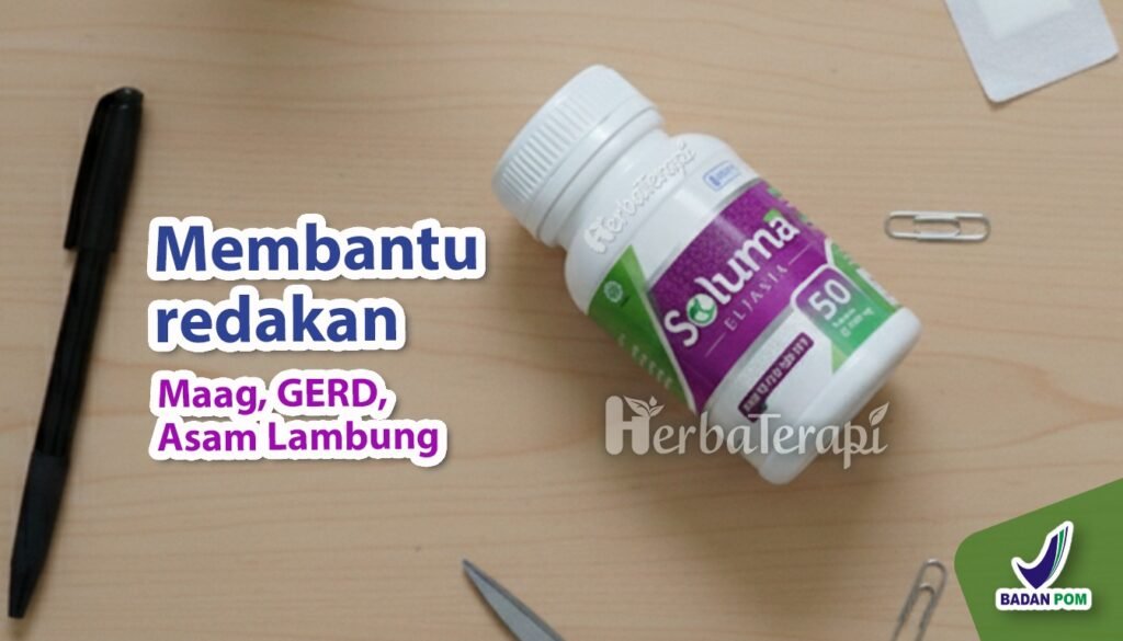 soluma makanan ramah lambung