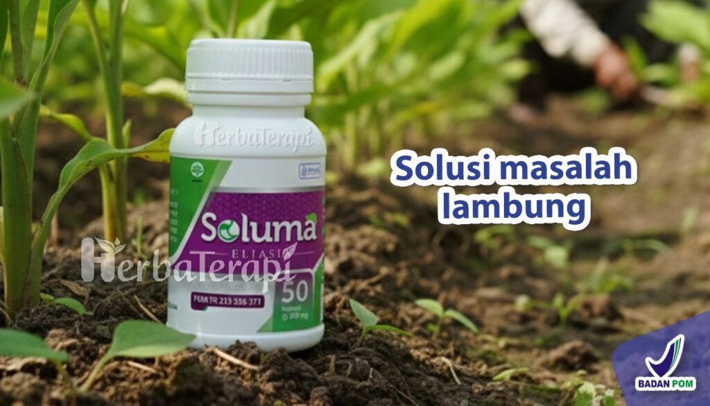 soluma berbaring setelah makan