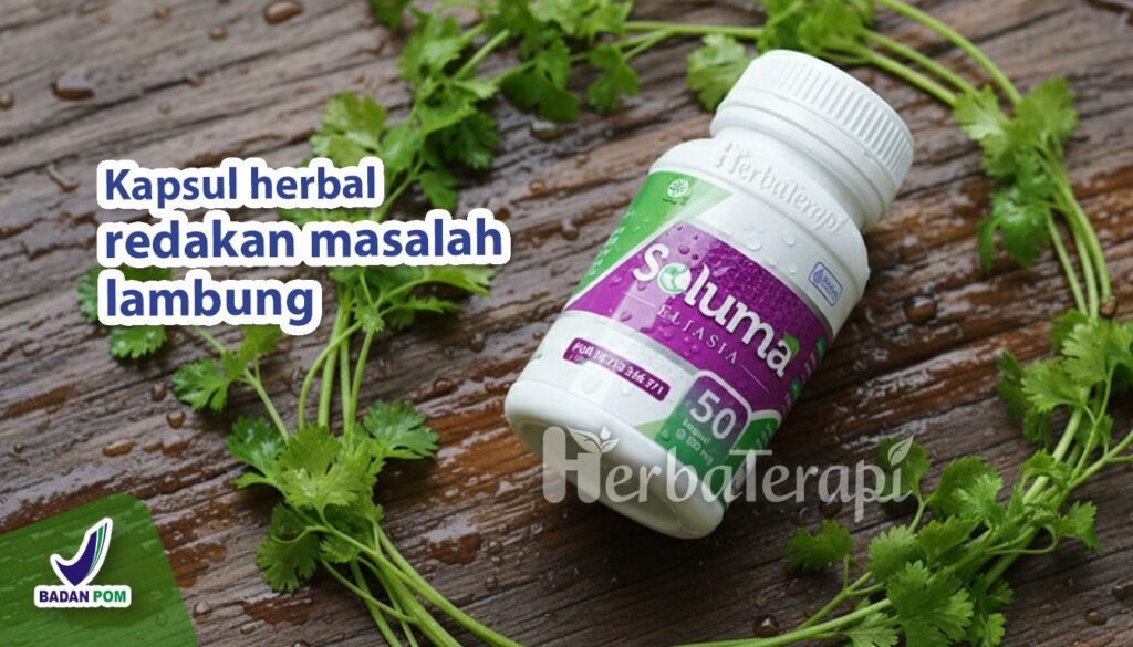 soluma tidur setelah makan