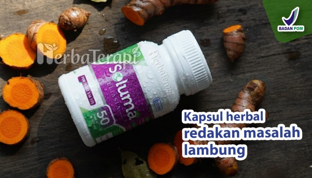 soluma panduan pola makan teratur