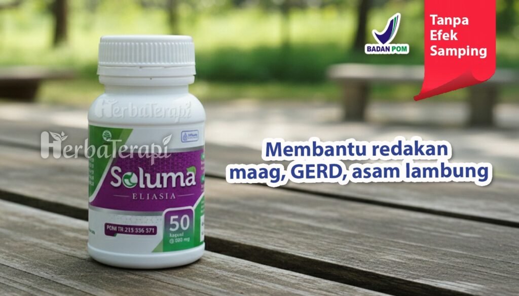 soluma penyebab infeksi lambung