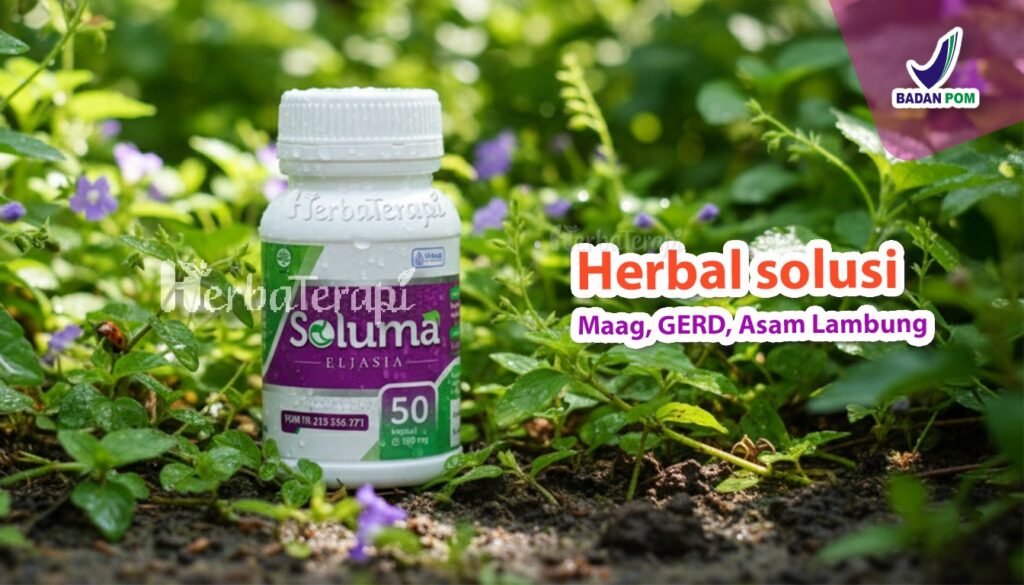 soluma tips mencegah kambuhnya gastritis