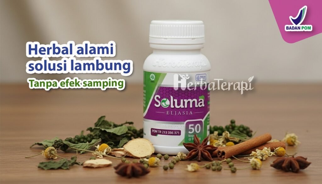 soluma tips mengatur pola makan