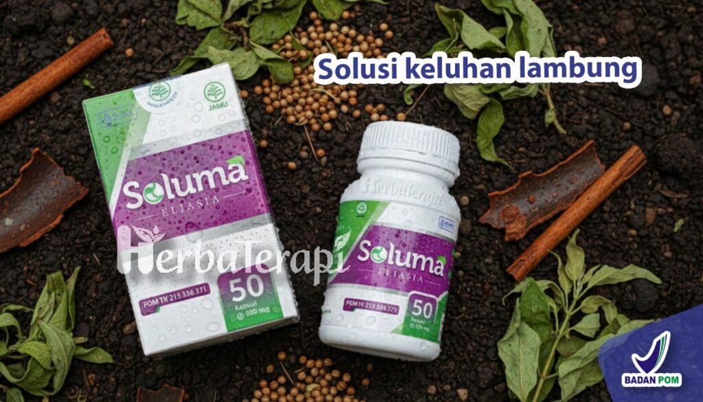 soluma infeksi bakteri h.pylori