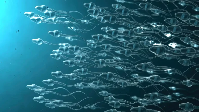 vertomen menurunkan kesuburan pria