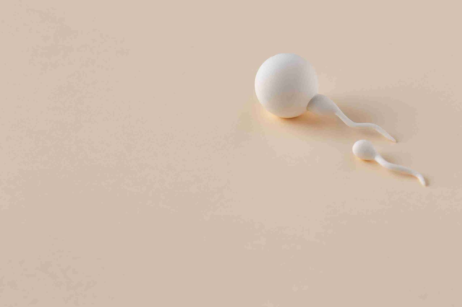 vertomen penyebab utama sperma abnormal