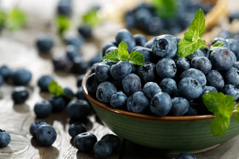 Antioksidan dalam Buah Beri untuk Melawan Radikal Bebas di Hati