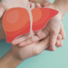 Bagaimana Cara Kerja Hati dalam Membuang Racun dan Sisa Metabolisme