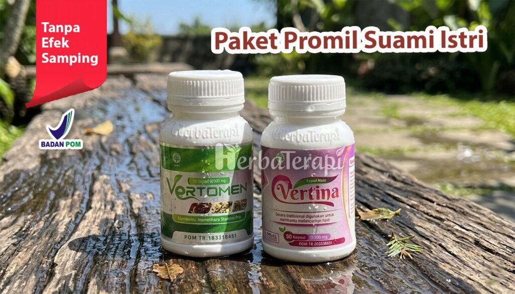 vertina vertomen Bahaya Asap Rokok terhadap Kesehatan Reproduksi