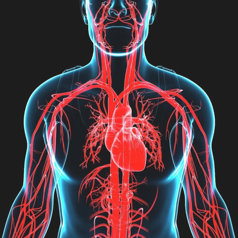 Bahaya Hipertensi Jangka Panjang Saat Arteri Kaku dan Rapuh