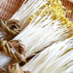 Benarkah Konsumsi Tauge Efektif Mempercepat Kehamilan