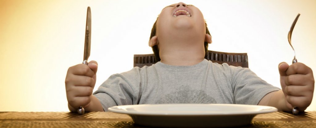 Cara Alami Agar Cepat Merasa Lapar