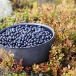 Kandungan Alami Ometa yang Efektif Sembuhkan Mata Berlemak