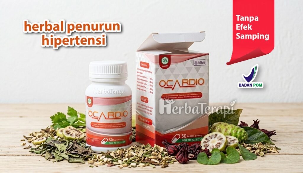 ocardio Kerusakan Endotel Awal Mula Komplikasi Pembuluh Darah Akibat Hipertensi