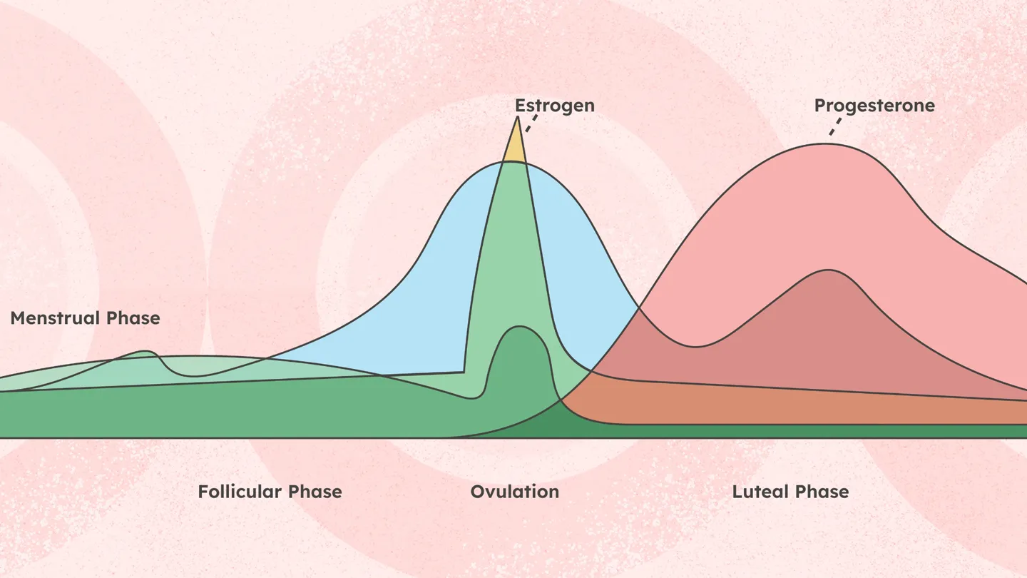 Memahami Siklus Menstruasi dan Perubahan Sensitivitas Payudara
