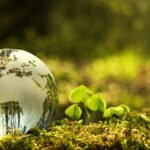 Mengapa Bahan Alami Adalah Sahabat Terbaik Organ Hati Anda