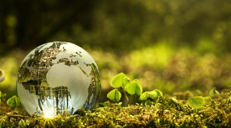 Mengapa Bahan Alami Adalah Sahabat Terbaik Organ Hati Anda