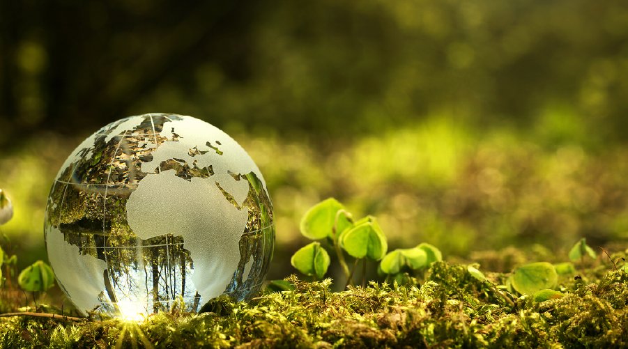 Mengapa Bahan Alami Adalah Sahabat Terbaik Organ Hati Anda