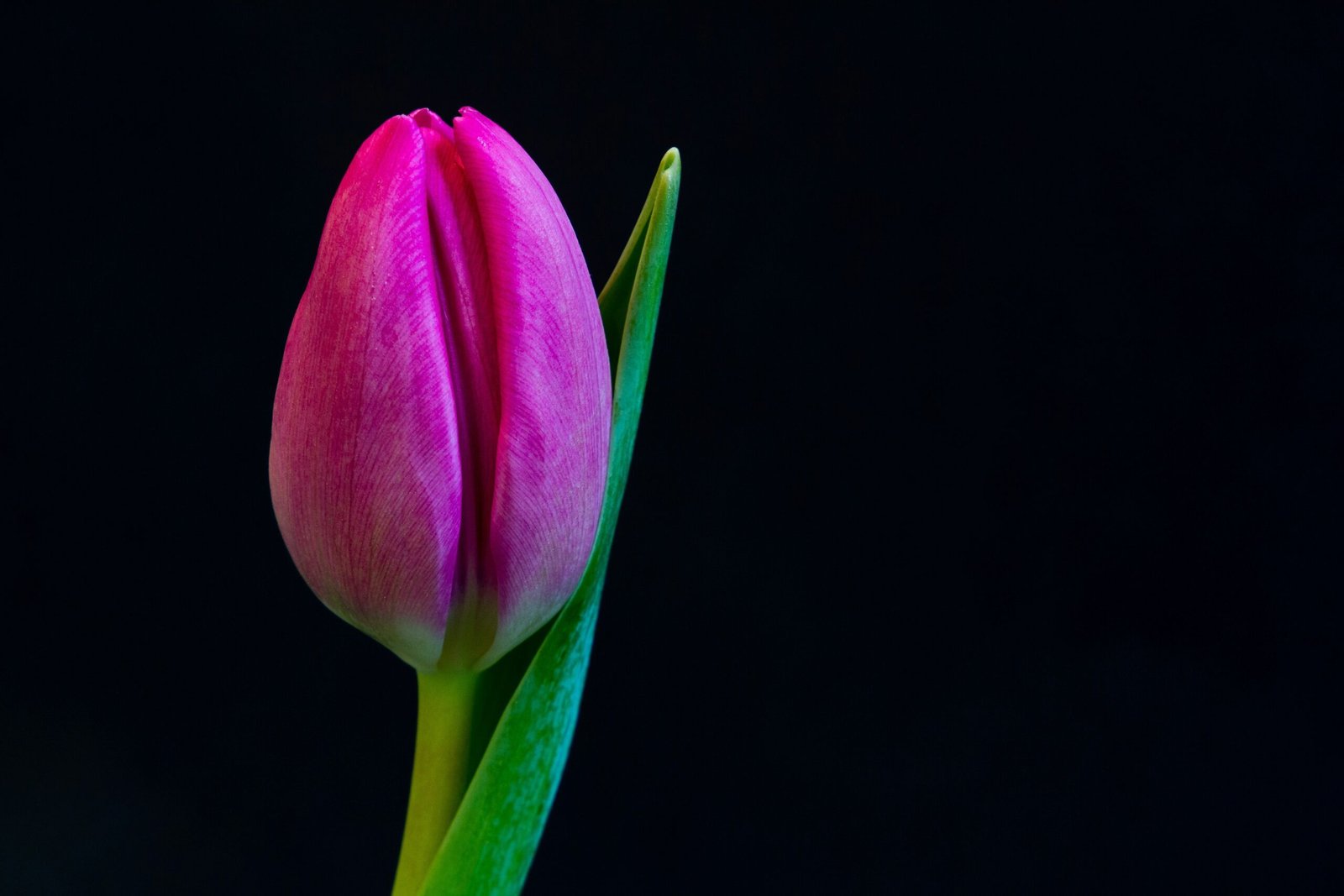 Mengenal Fase Pubertas Mengapa Payudara Terasa Nyeri saat Tumbuh