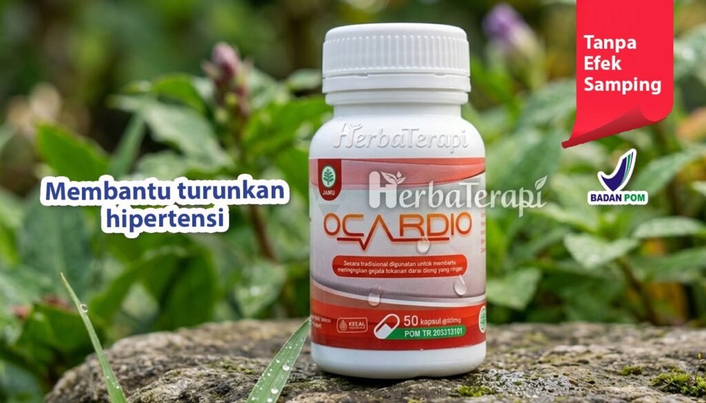 Obesitas dan Darah Tinggi Bagaimana Lemak Tubuh Merusak Arteri ocardio