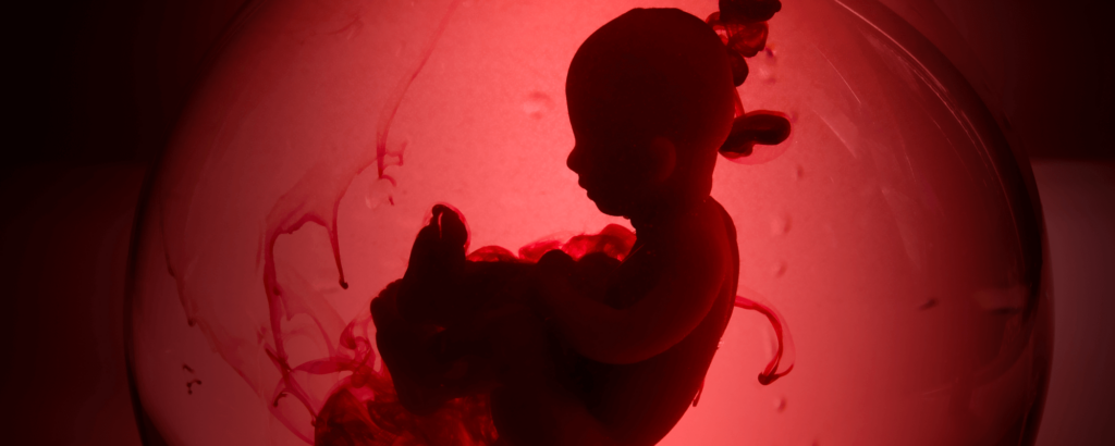 Peluang Hamil Setelah Keguguran dan Waktu Terbaik Mencoba Lagi