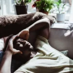 Sering Merasa Lelah Berlebihan Bisa Jadi Itu Sinyal Penurunan Fungsi Liver