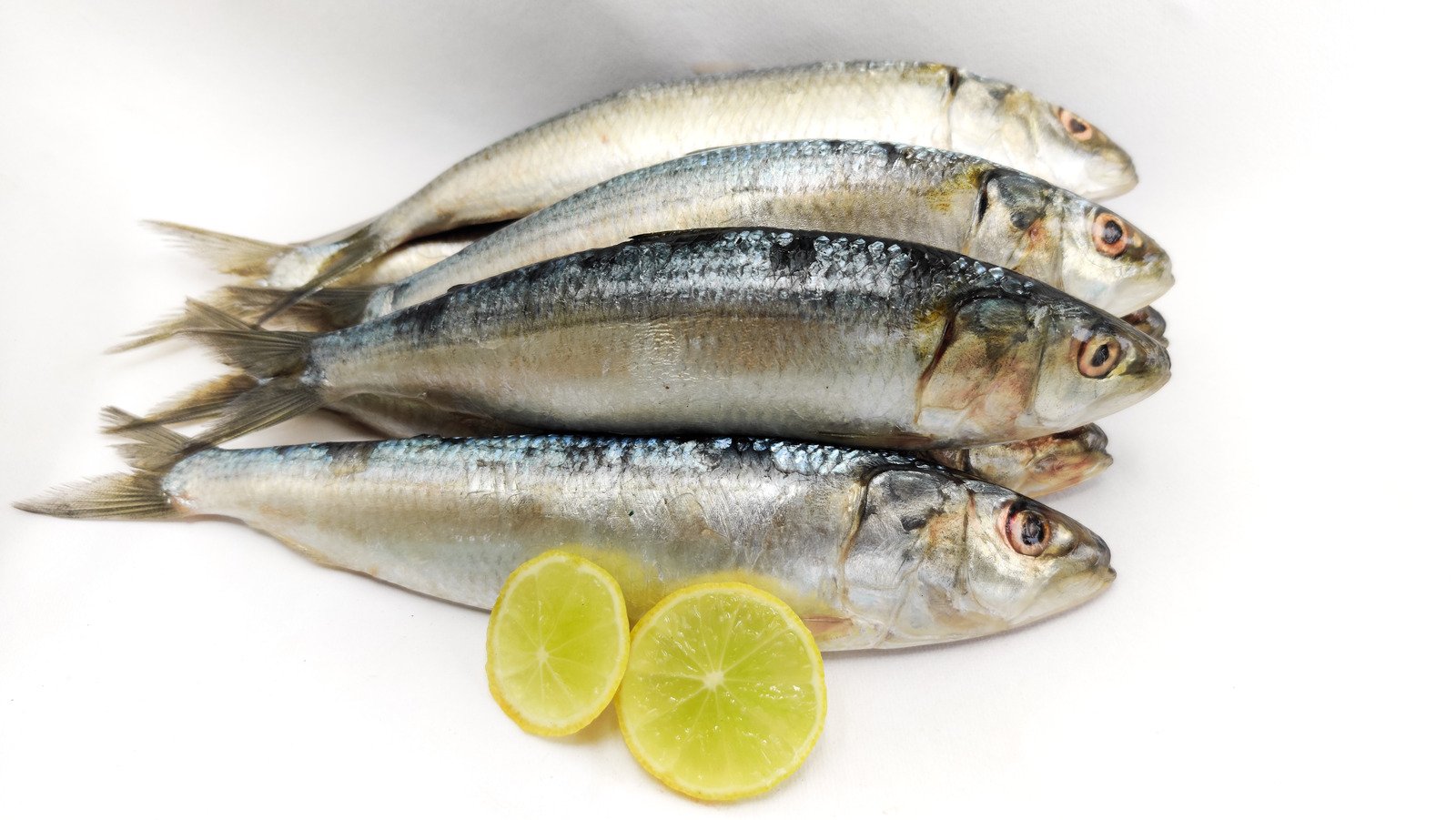 afiapro penderita asam urat