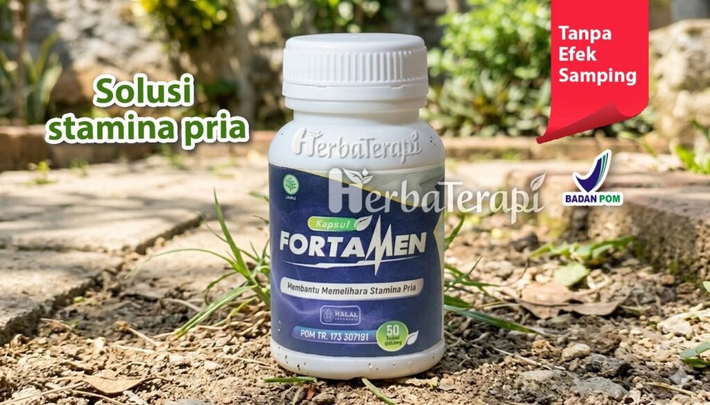 fortamen panjang penis normal