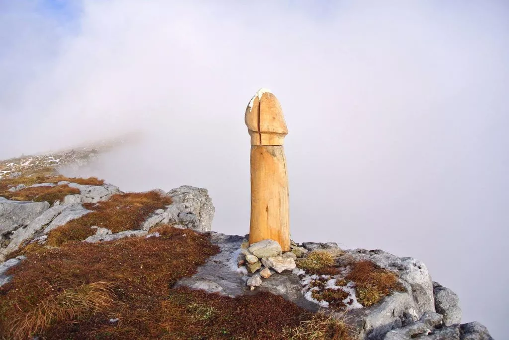 fortamen panjang penis normal