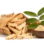 fortamen khasiat pasak bumi