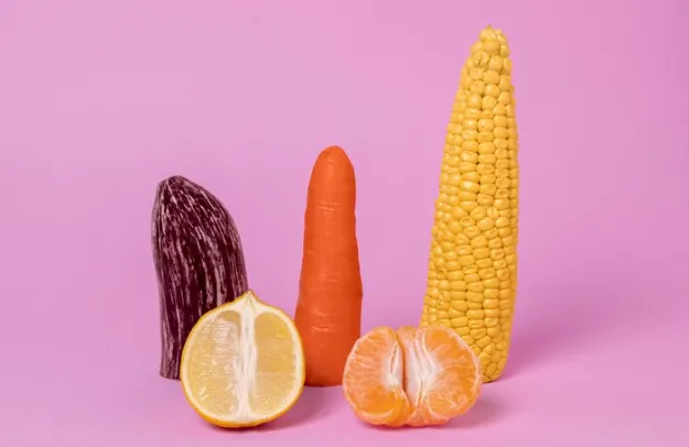 fortamen anatomi penis