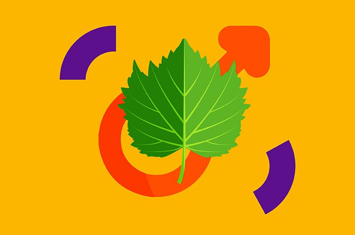 fortamen Obat Kuat Alami