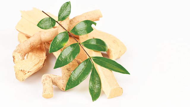 fortamen ramuan tradisional pendongkrak libido