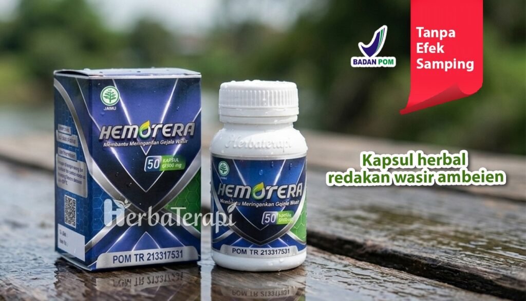 hemotera benjolan wasir mengganggu