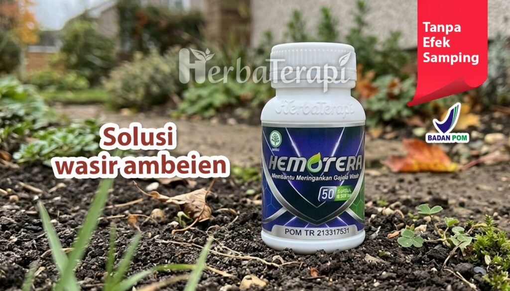 hemotera hubungan seks terasa nyeri