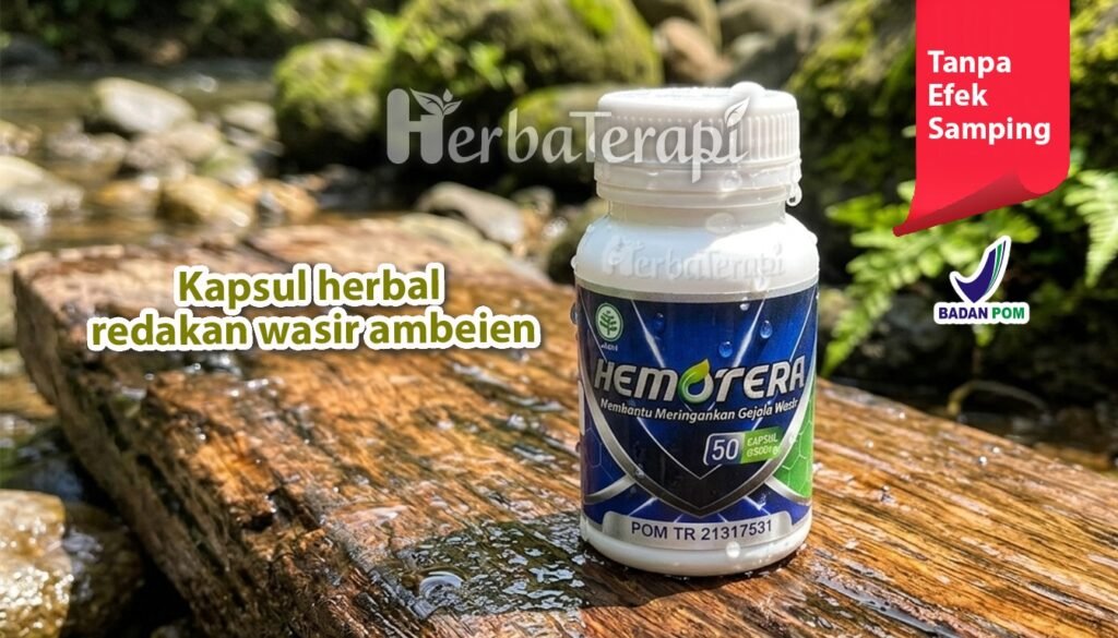 hemotera pendarahn dubur