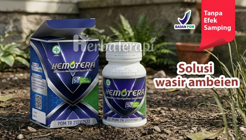 hemotera wasir dan disfungsi ereksi