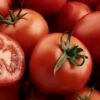 prosterafit kandungan likopen pada tomat