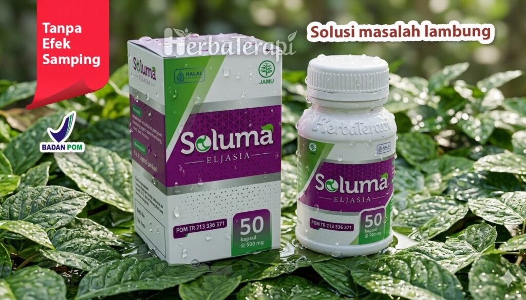 soluma penyebab utama maag