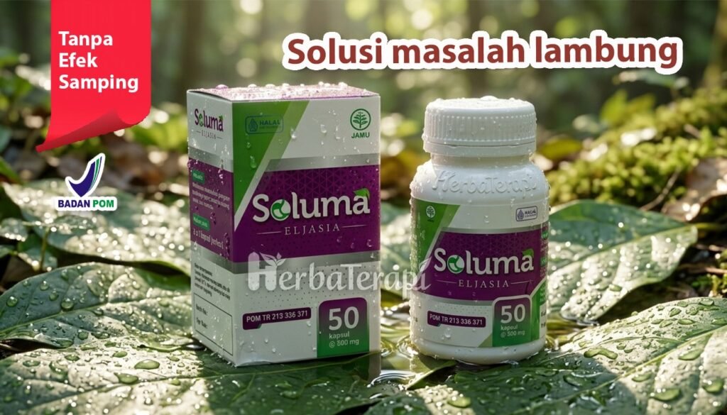 soluma bahaya penyedap rasa