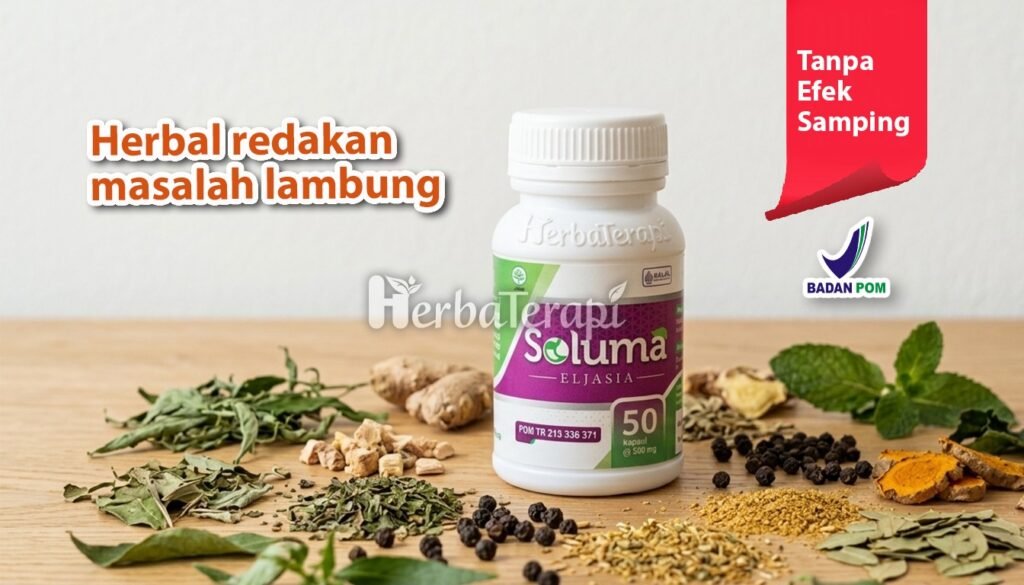 soluma bahaya tidur setelah makan