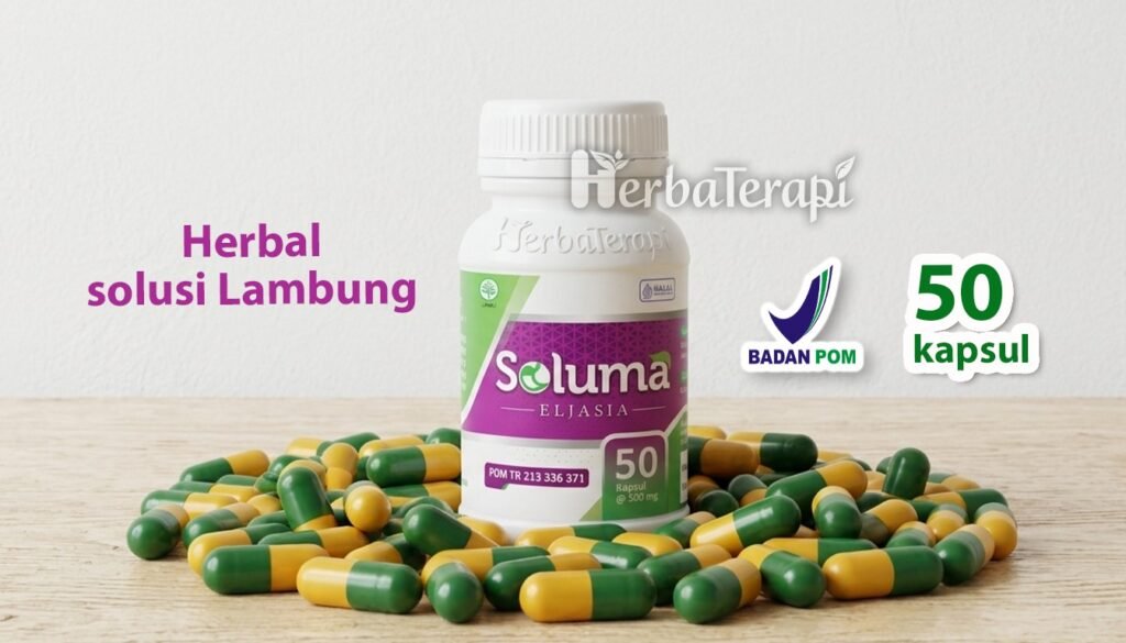 soluma mengatur porsi makan