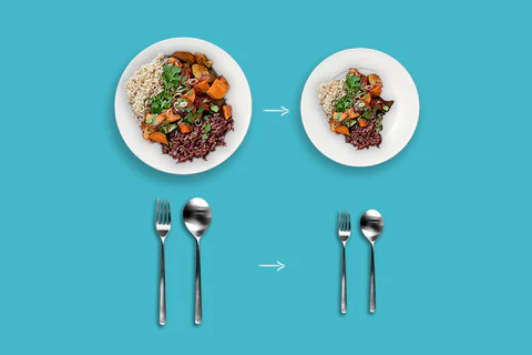 soluma mengatur porsi makan