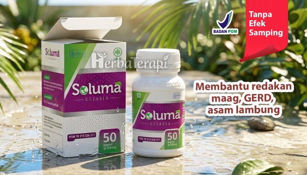 soluma makanan penyebab maag