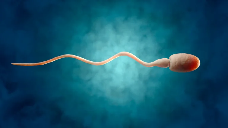 vertomen mengurangi produksi sperma