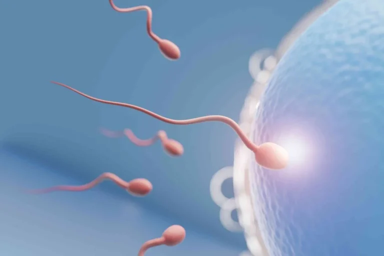 vertoemnciri fisik pria mandul