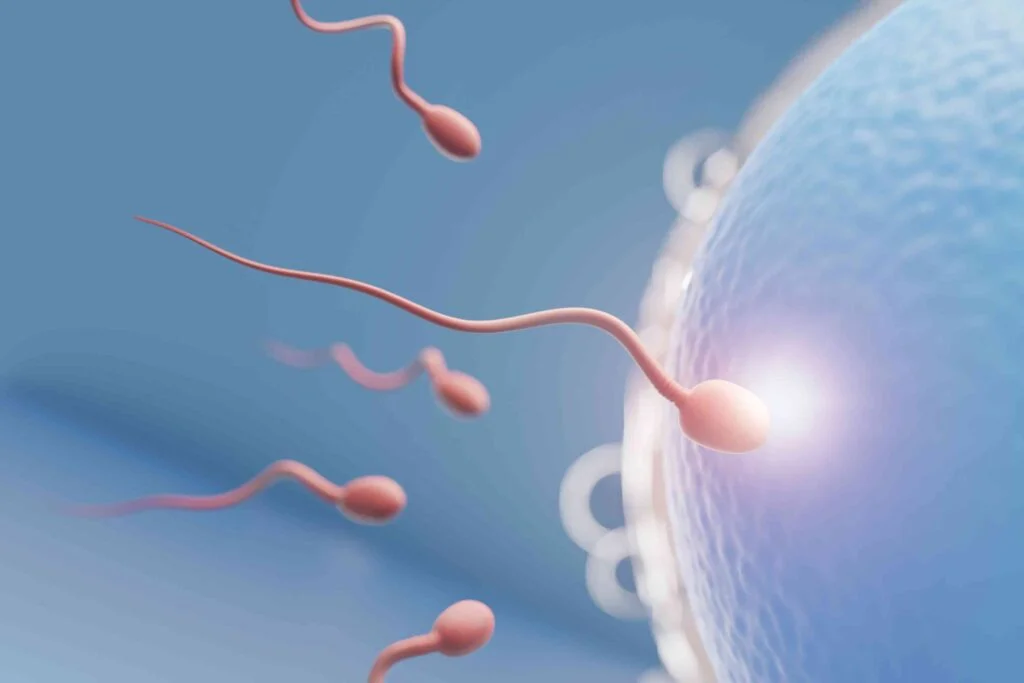 vertoemnciri fisik pria mandul