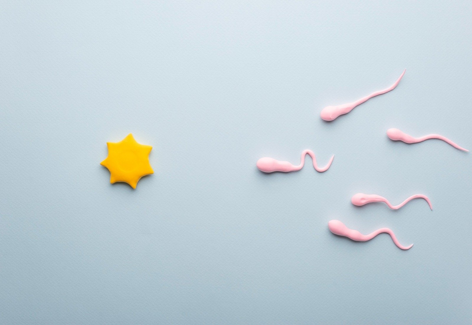 vertomen cara meningkatkan morfologi sperma