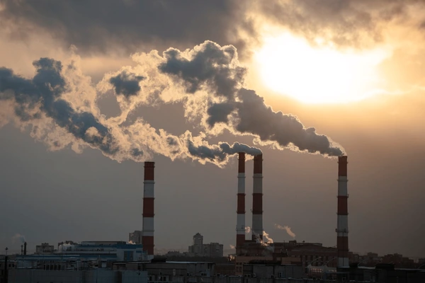 vertomen paparan polusi udara