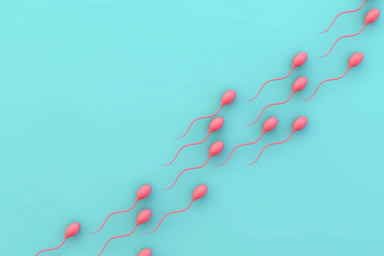 vertomen sperma oligozoospermia